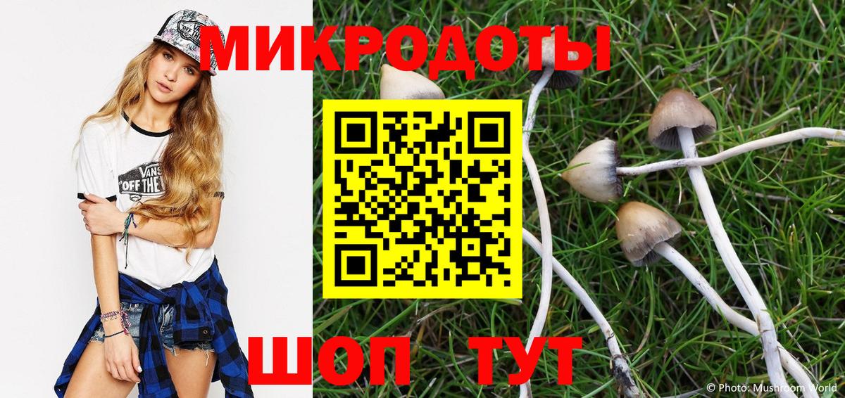 Псилоцибиновые грибы мухоморы Свободный