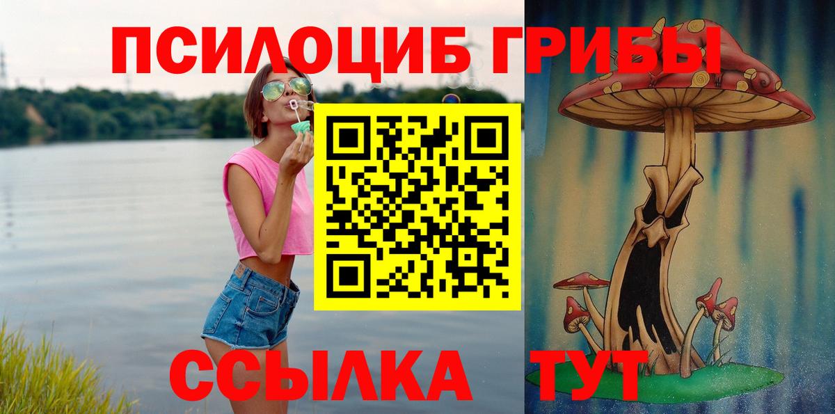 Свободный  Псилоцибиновые грибы мицелий  Вход с VPN 